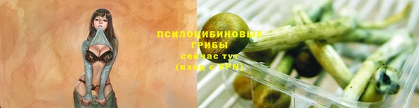 ALPHA-PVP Бородино